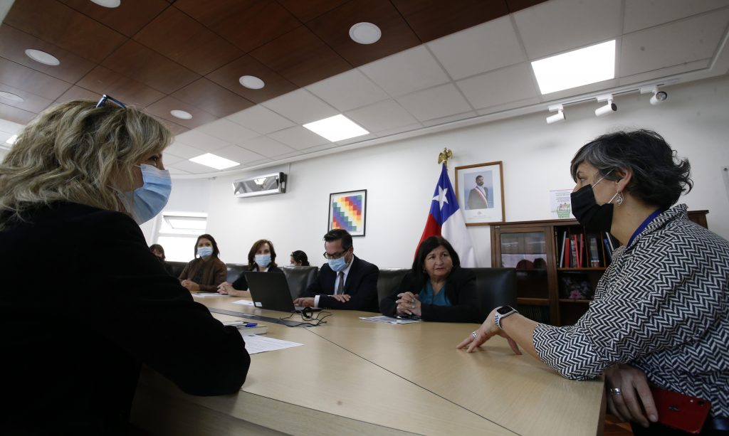 Ministra de Salud recibe Primer Informe Comisión Ciudadana de Vigilancia y Control de Ley Ricarte Soto
