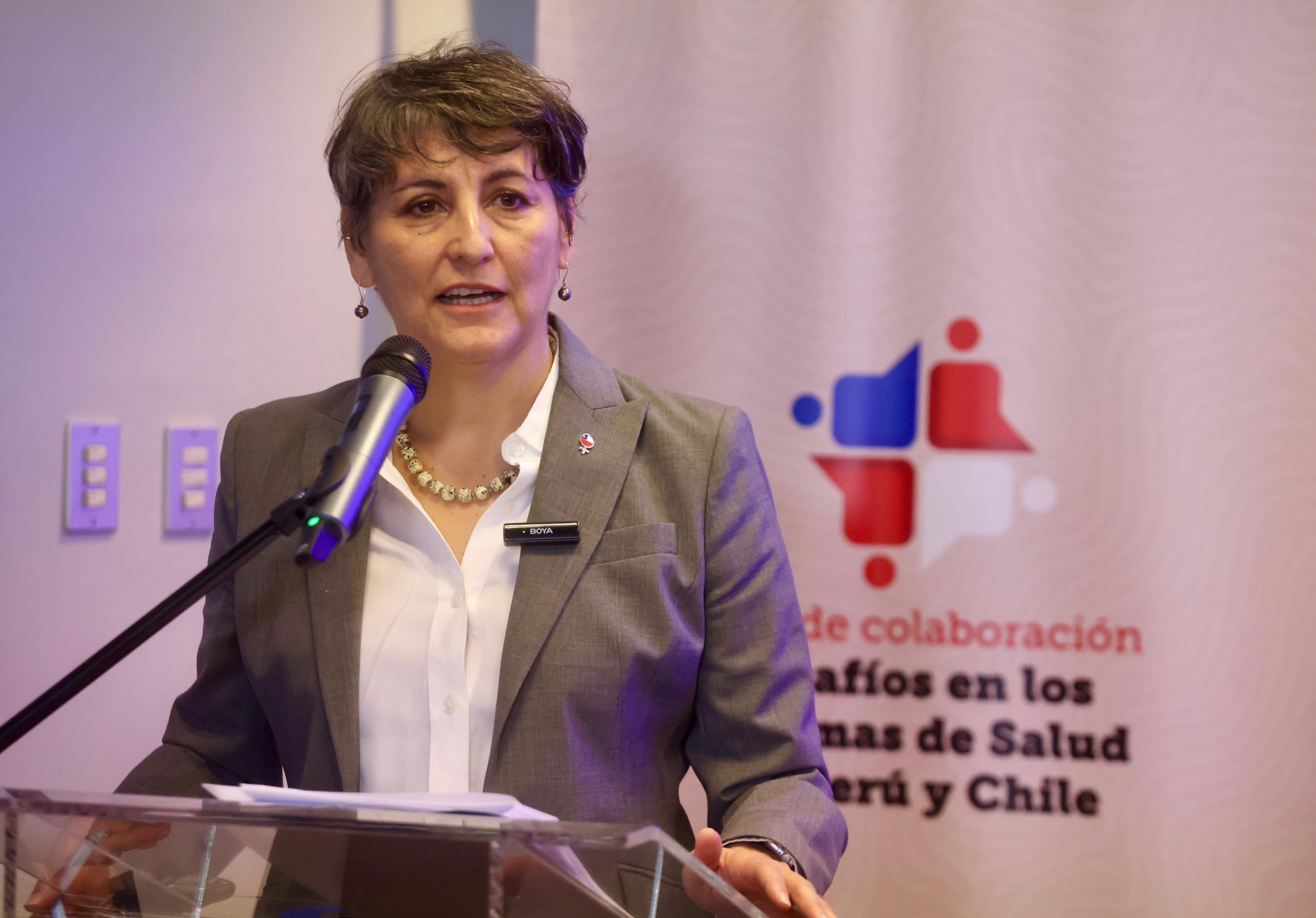 Foro Chile-Perú: ministra Aguilera destaca transformaciones de la Superintendencia de Salud