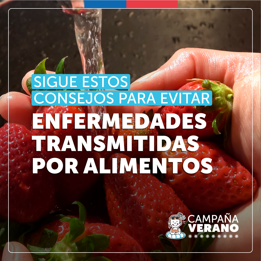 Prevención de enfermedades transmitidas por alimentos Material para descarga